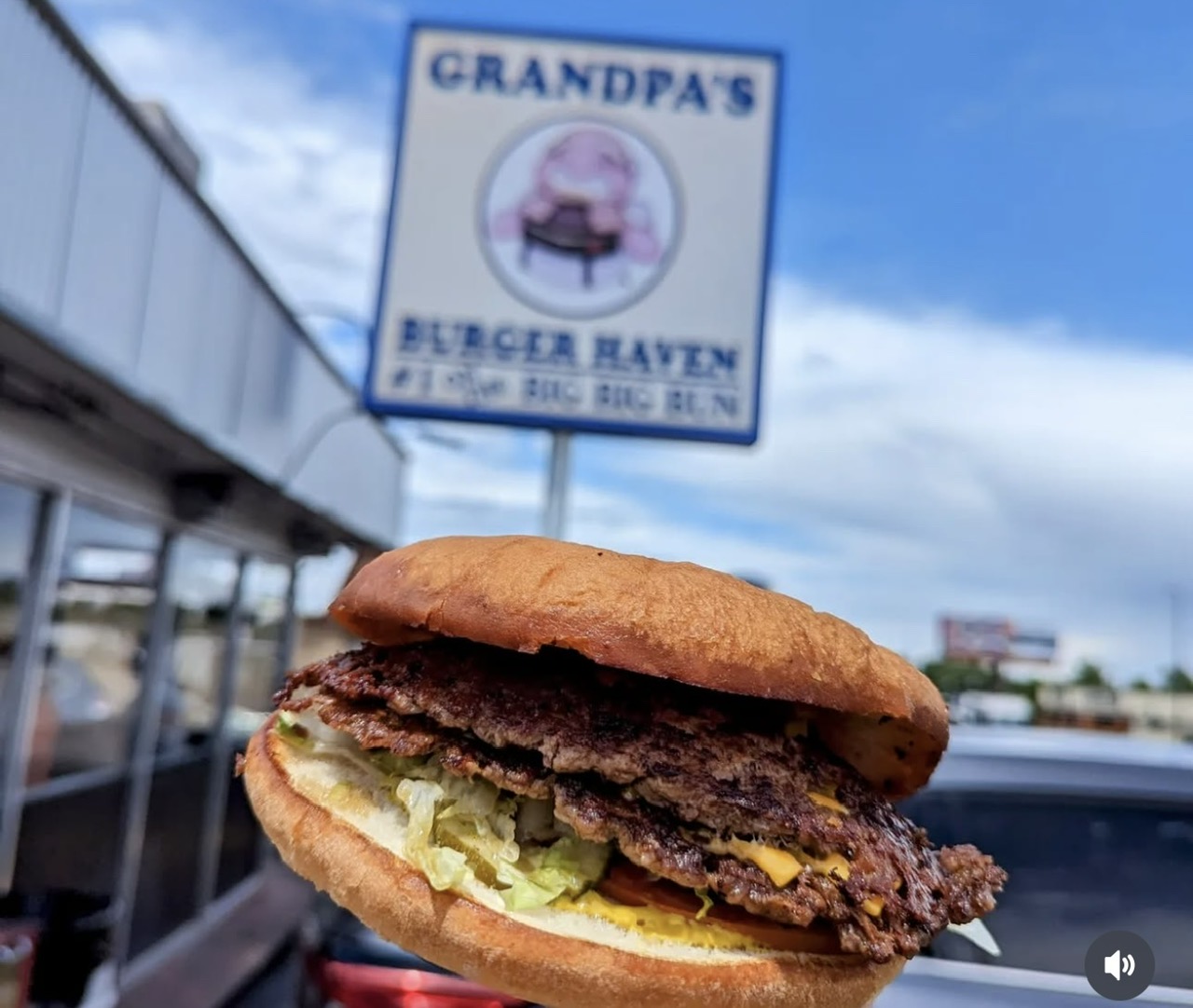 Delicious burger with fries